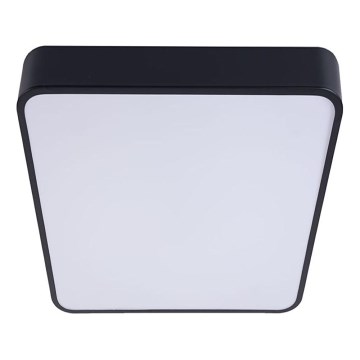 Iluminação de teto LED FELIZ LED/50W/230V 4000K 40x60 cm preto