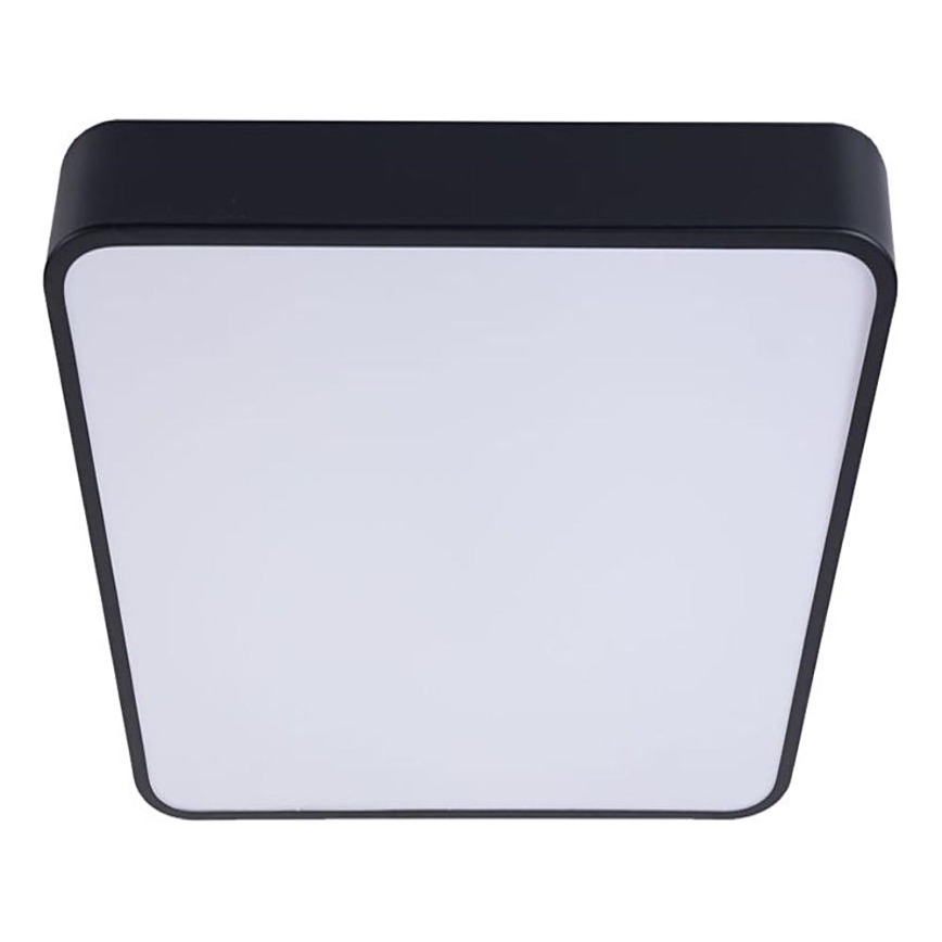 Iluminação de teto LED FELIZ LED/50W/230V 4000K 40x60 cm preto