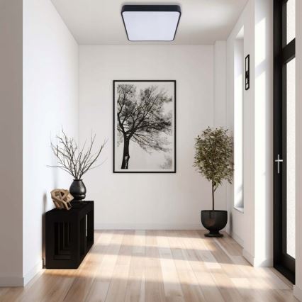 Iluminação de teto LED FELIZ LED/50W/230V 4000K 40x60 cm preto