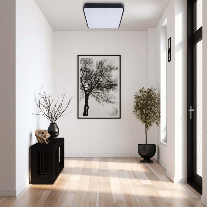 Iluminação de teto LED FELIZ LED/50W/230V 4000K 40x60 cm preto