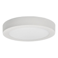 Iluminação de teto LED FENIX LED/12W/230V 2800K diâmetro 17 cm