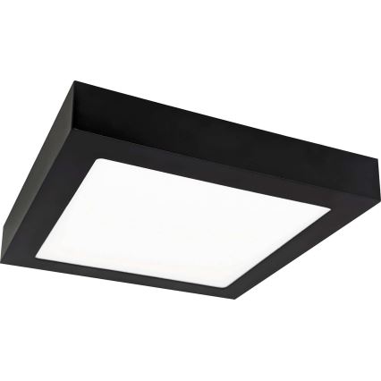 Iluminação de teto LED FENIX LED/12W/230V 3800K 17 cm