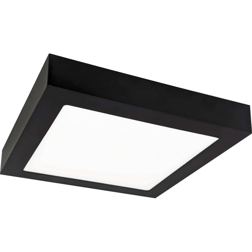 Iluminação de teto LED FENIX LED/12W/230V 3800K 17 cm