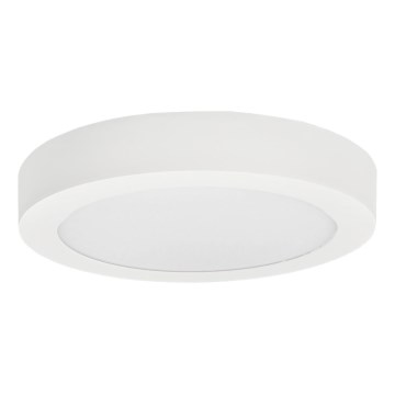 Iluminação de teto LED FENIX LED/12W/230V 3800K diâmetro 17 cm neve branco