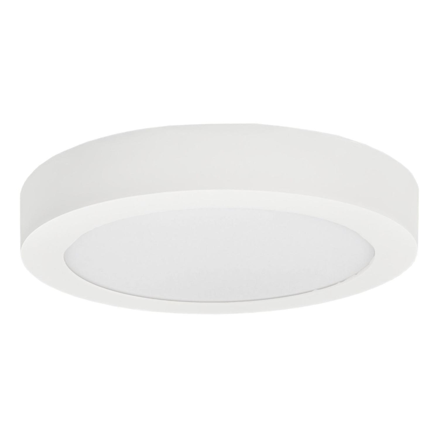 Iluminação de teto LED FENIX LED/12W/230V 3800K diâmetro 17 cm neve branco