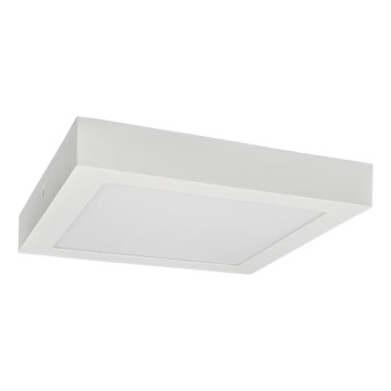 Iluminação de teto LED FENIX LED/24W/230V 3800K 29,8 cm