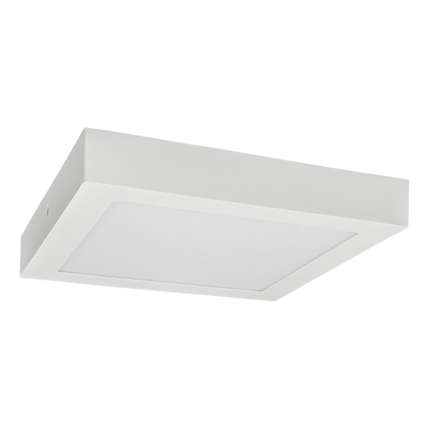 Iluminação de teto LED FENIX LED/24W/230V 3800K 29,8 cm