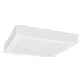 Iluminação de teto LED FENIX LED/24W/230V 3800K 29,8 cm neve branco