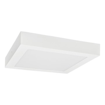 Iluminação de teto LED FENIX LED/24W/230V 3800K 29,8 cm neve branco