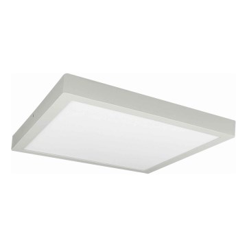 Iluminação de teto LED FENIX LED/32W/230V 3800K 40 cm branco