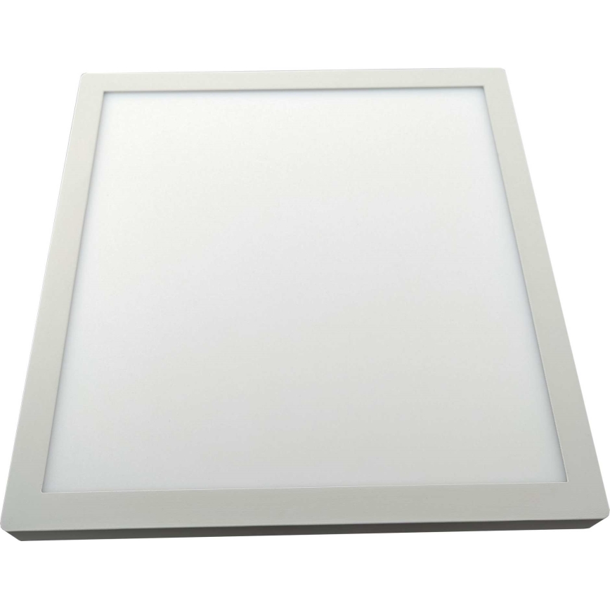 Iluminação de teto LED FENIX LED/32W/230V 3800K 40 cm branco