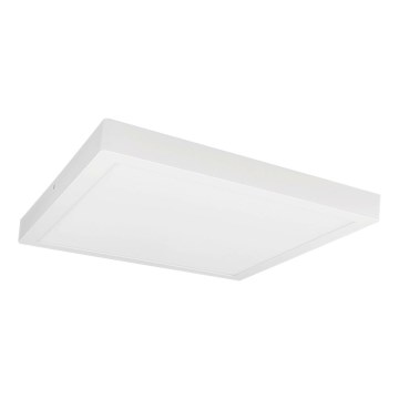 Iluminação de teto LED FENIX LED/32W/230V 3800K 40 cm neve branco