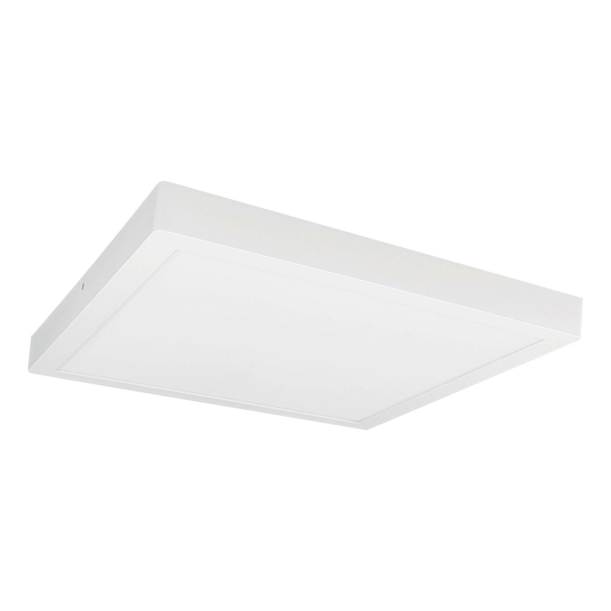 Iluminação de teto LED FENIX LED/32W/230V 3800K 40 cm neve branco