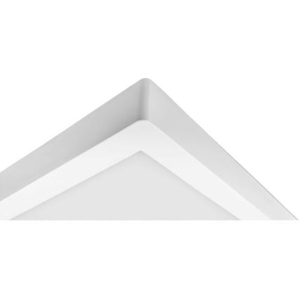 Iluminação de teto LED FENIX LED/32W/230V 3800K 40 cm neve branco