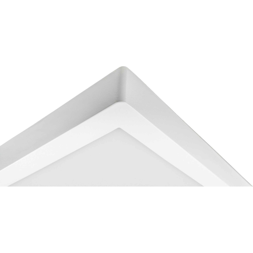 Iluminação de teto LED FENIX LED/32W/230V 3800K 40 cm neve branco
