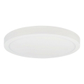 Iluminação de teto LED FENIX LED/32W/230V 3800K diâmetro 40 cm neve branco