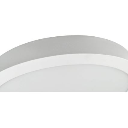 Iluminação de teto LED FENIX LED/32W/230V 3800K diâmetro 40 cm neve branco