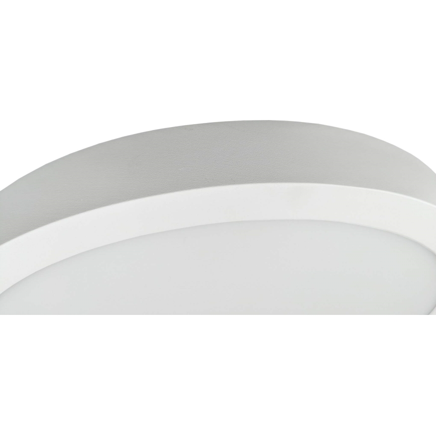 Iluminação de teto LED FENIX LED/32W/230V 3800K diâmetro 40 cm neve branco