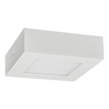 Iluminação de teto LED FENIX LED/6W/230V 3800K 12 cm