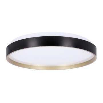 Iluminação de teto LED FLORIDA LED/18W/230V preto