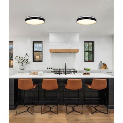 Iluminação de teto LED FLORIDA LED/18W/230V preto