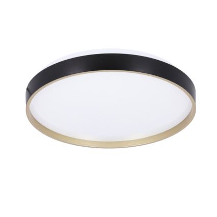 Iluminação de teto LED FLORIDA LED/18W/230V preto