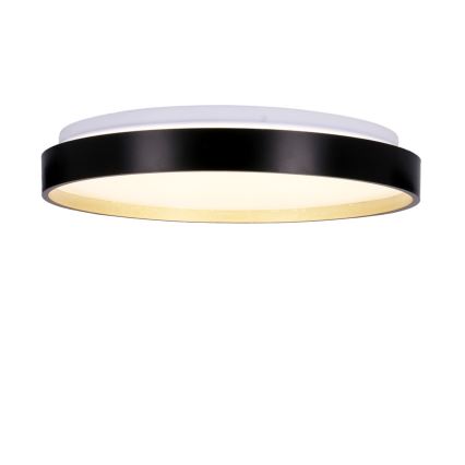 Iluminação de teto LED FLORIDA LED/18W/230V preto