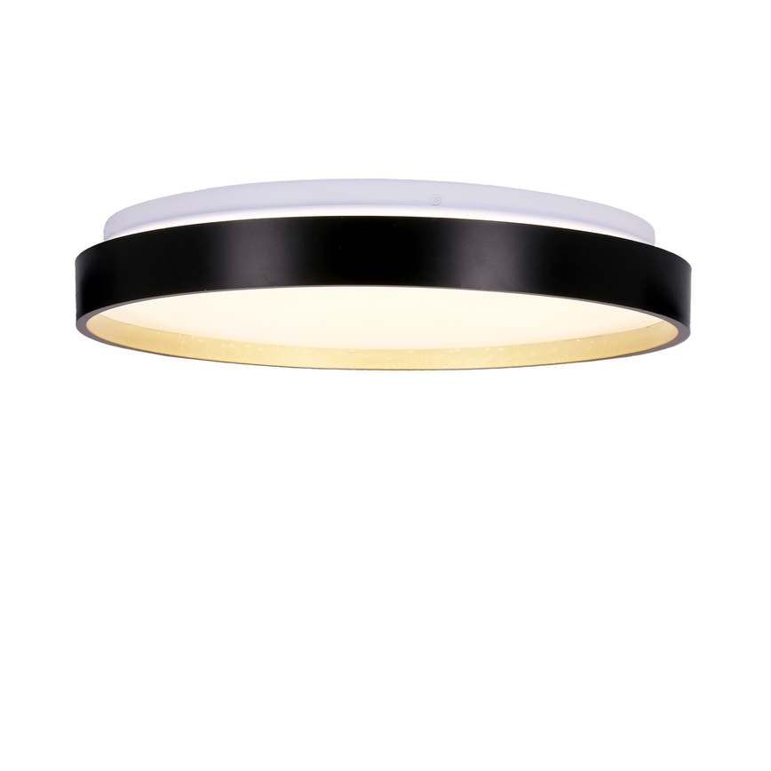 Iluminação de teto LED FLORIDA LED/18W/230V preto