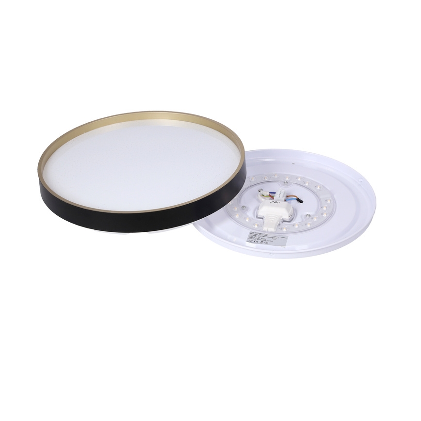 Iluminação de teto LED FLORIDA LED/18W/230V preto
