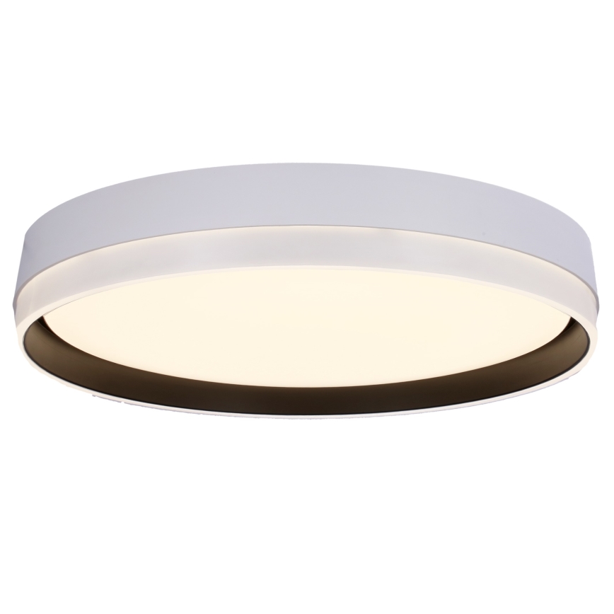 Iluminação de teto LED FLORIDA LED/24W/230V branco