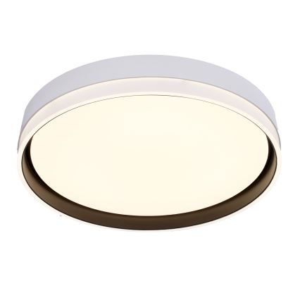 Iluminação de teto LED FLORIDA LED/24W/230V branco