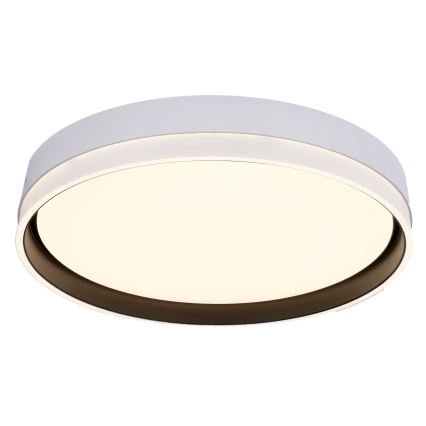 Iluminação de teto LED FLORIDA LED/24W/230V branco