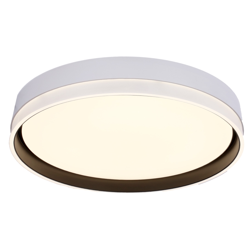 Iluminação de teto LED FLORIDA LED/24W/230V branco