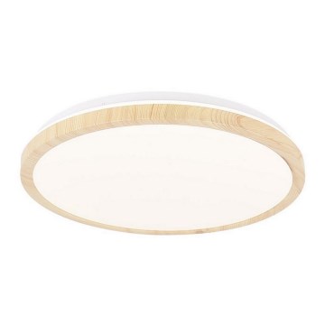 Iluminação de teto LED GANDAVA LED/18W/230V