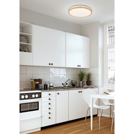 Iluminação de teto LED GANDAVA LED/24W/230V