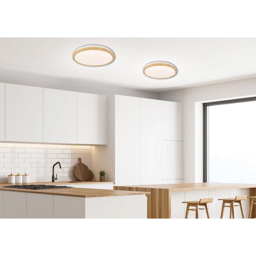 Iluminação de teto LED GANDAVA LED/24W/230V