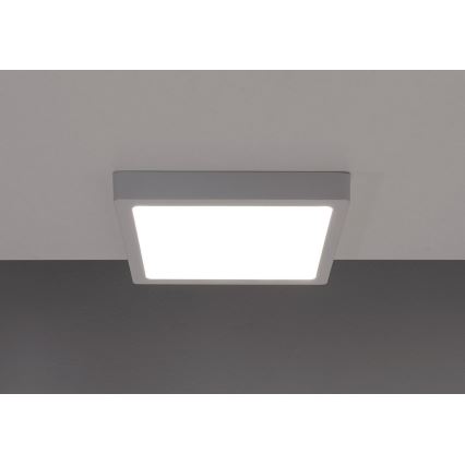 Iluminação de teto LED GERRY LED/6W/230V 3000K