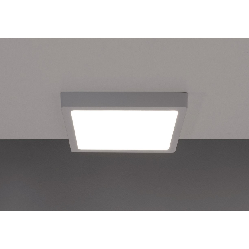 Iluminação de teto LED GERRY LED/6W/230V 3000K