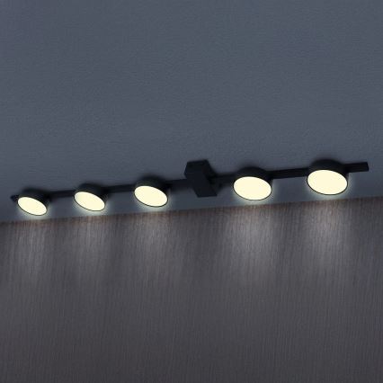 Iluminação de teto LED JOY 5xGX53/6W/230V preto