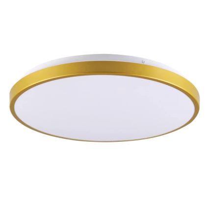 Iluminação de teto LED KERN LED/15W/230V d. 29 cm