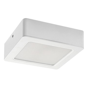 Iluminação de teto LED LED/12W/230V 14,5 cm