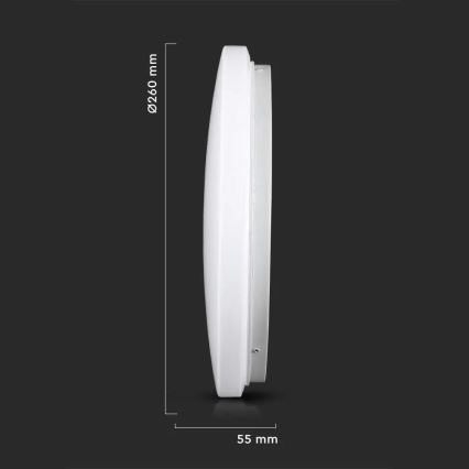 Iluminação de teto LED LED/12W/230V 26cm 3000K/4000K/6400K