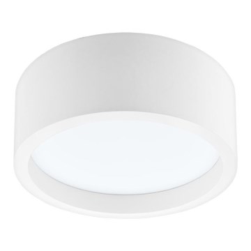 Iluminação de teto LED LED/21W/230V pinho