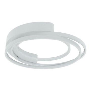 Iluminação de teto LED LED/30W/230V 3000/4000/6000K branco