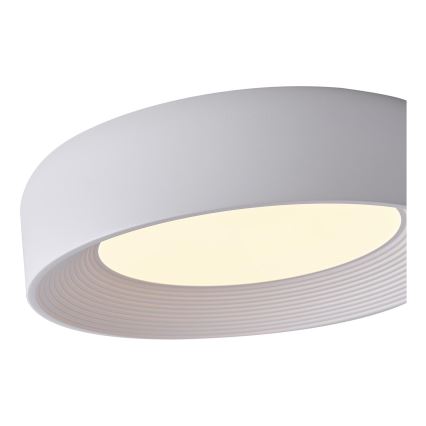 Iluminação de teto LED LED/30W/230V 3000K branco diâmetro 40 cm
