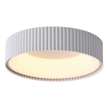 Iluminação de teto LED LED/30W/230V 3000K branco