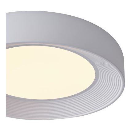Iluminação de teto LED LED/40W/230V 3000K branco diâmetro 50 cm