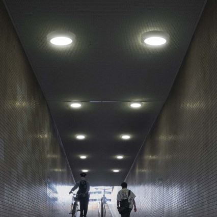 Iluminação de teto LED LED/6W/230V 6500K branco