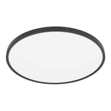 Iluminação de teto LED MAQ LED/50W/230V 3000/4000/6500K IP40 preto