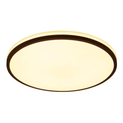 Iluminação de teto LED com regulação OPAL LED/48W/230V 3000-6500K + controlo remoto